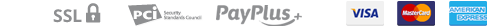 סמלי SSL ותשלום