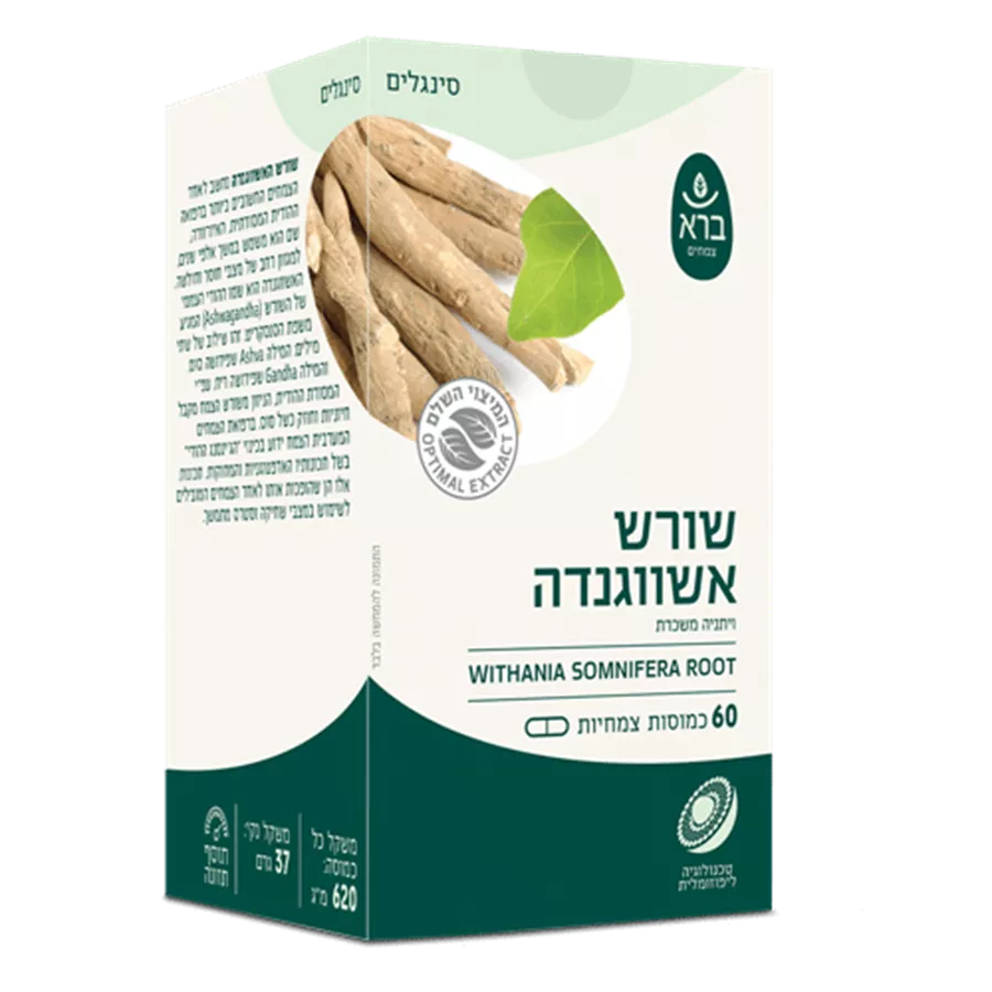 שורש אשווגנדה (ויתניה משכרת) ברא צמחים