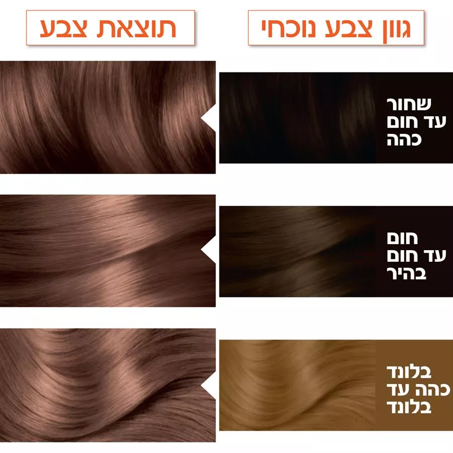 גרנייה צבע לשיער קולור נטורלס חום אגוז 6.25