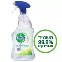 דטול מחטא משטחים בניחוח ליים ונענע אקופארם - ecopharm