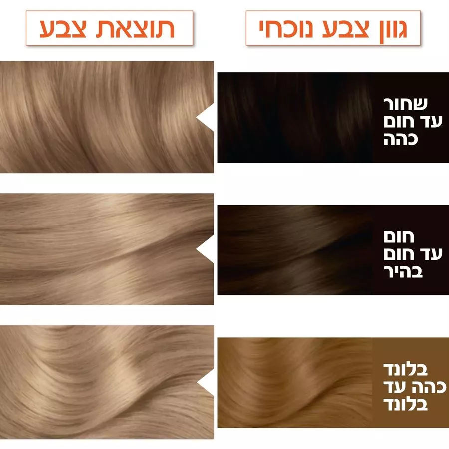 גרנייה צבע לשיער קולור נטורלס בלונד אפרפר בהיר 8.1