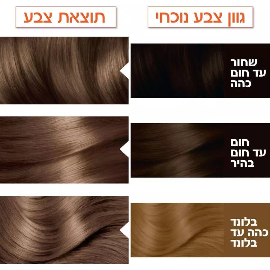 גרנייה צבע לשיער קולור נטורלס חום בהיר 6